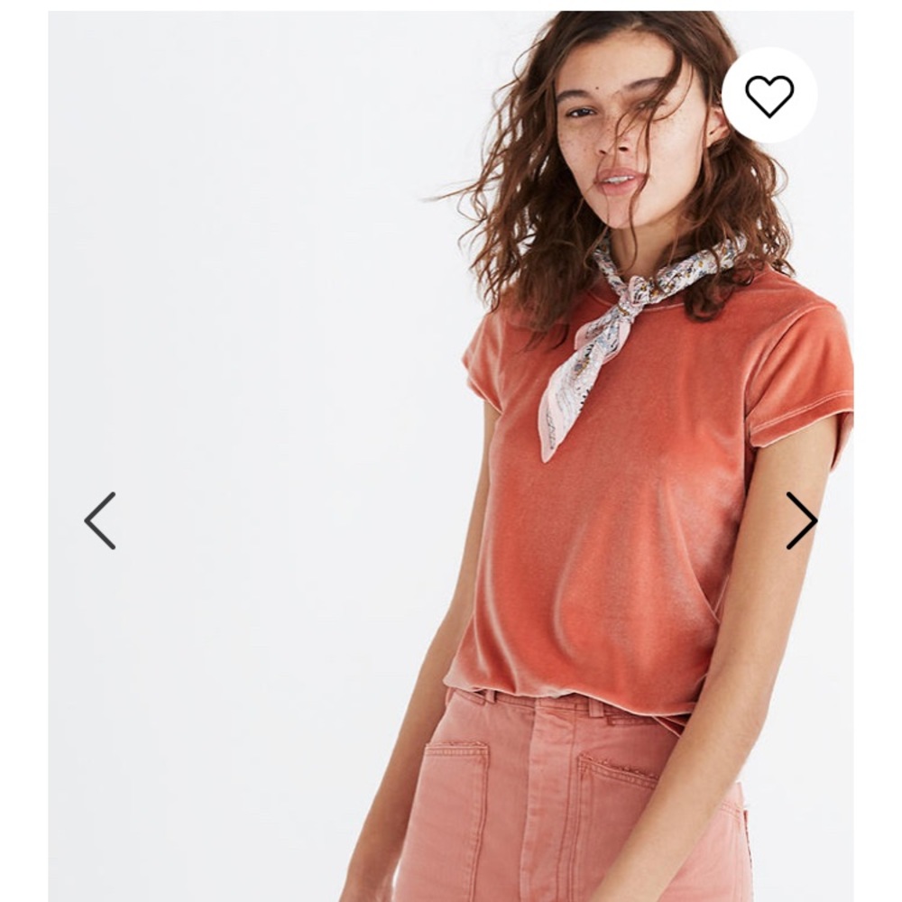 Madewell Velvet Crewneck Tee